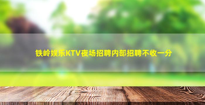 铁岭娱乐KTV夜场招聘内部招聘不收一分